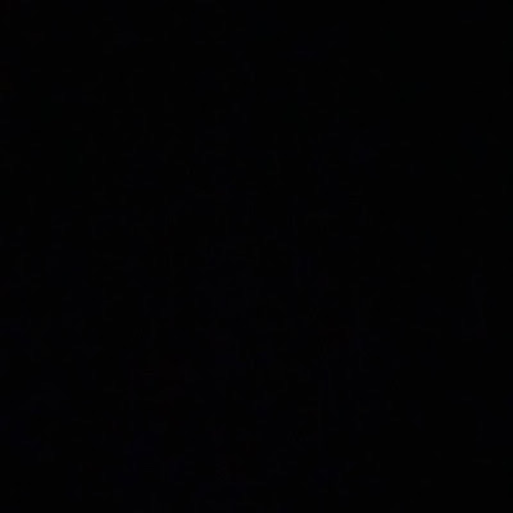 Meet your Posher, Talia